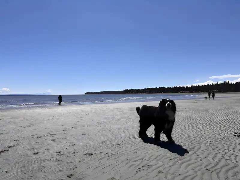 Sandy Saratoga Beach